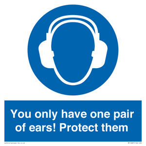 Mandatory: You only have one pair of ears! Protect them